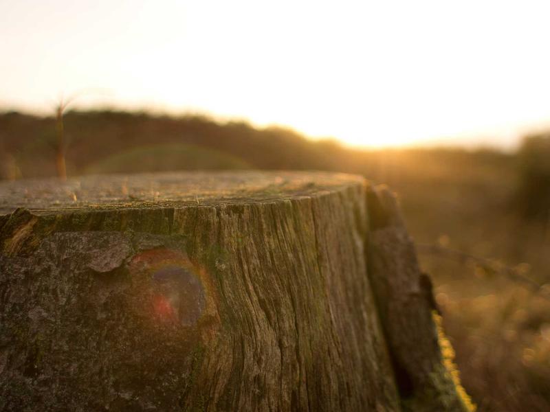 sudoku accuracy test screenshot 4